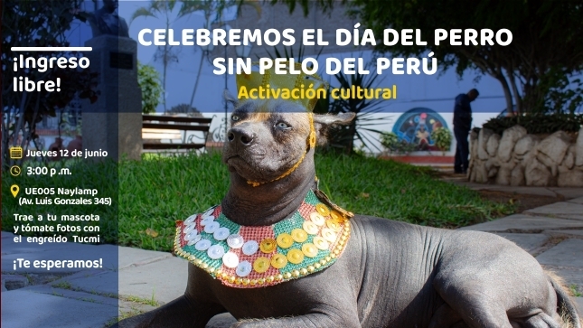 ¡Celebremos el Día del Perro sin Pelo del Perú!