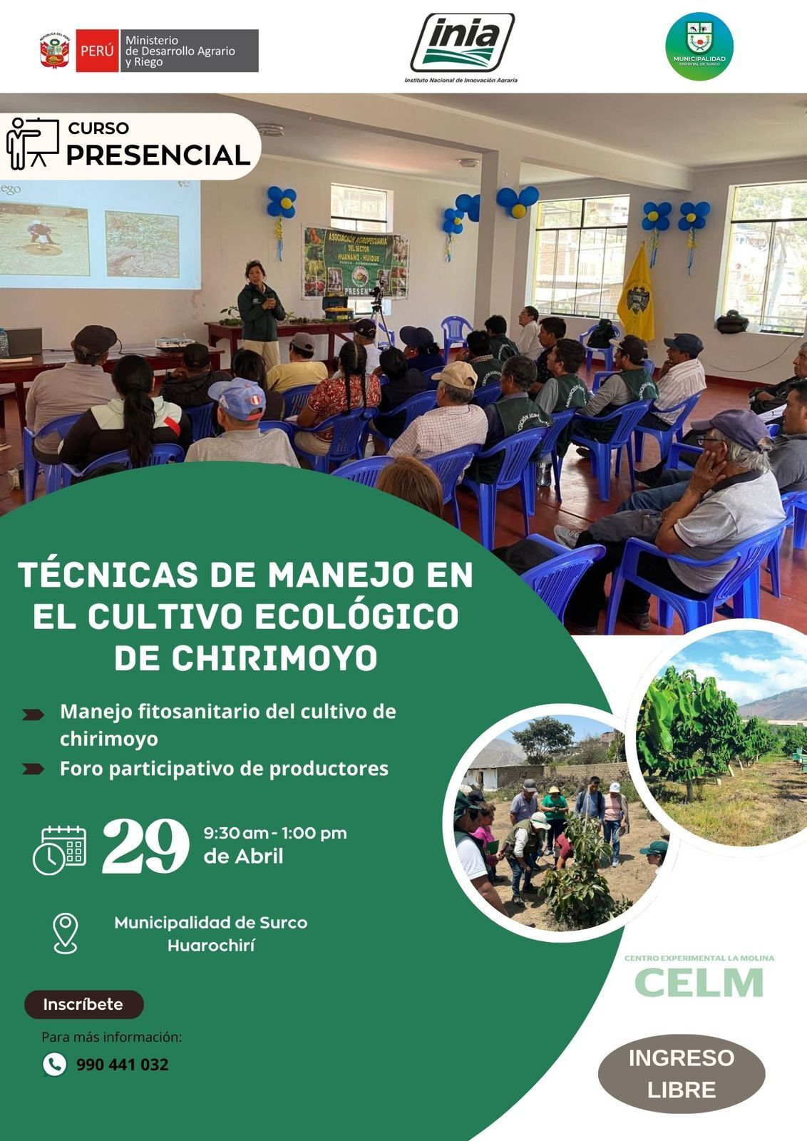 Técnicas de manejo en el cultivo ecológico de Chirimoyo