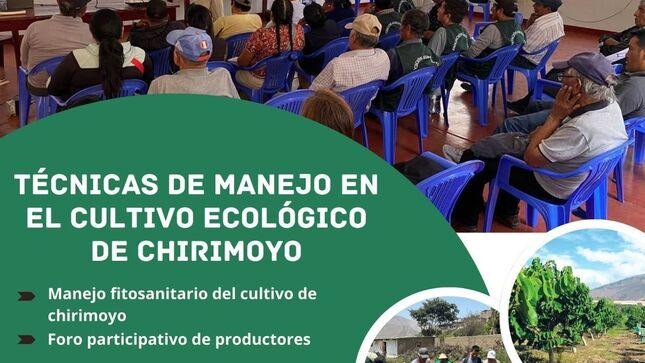 Entre los temas que abordarán en la capacitación figura:

✅Técnicas de manejo ecológico y sanidad de la chirimoya.
✅Problemática fitosanitaria de la chirimoya complementando con las estrategias de lucha frontal contra la rebelde ( Mosca de la fruta )