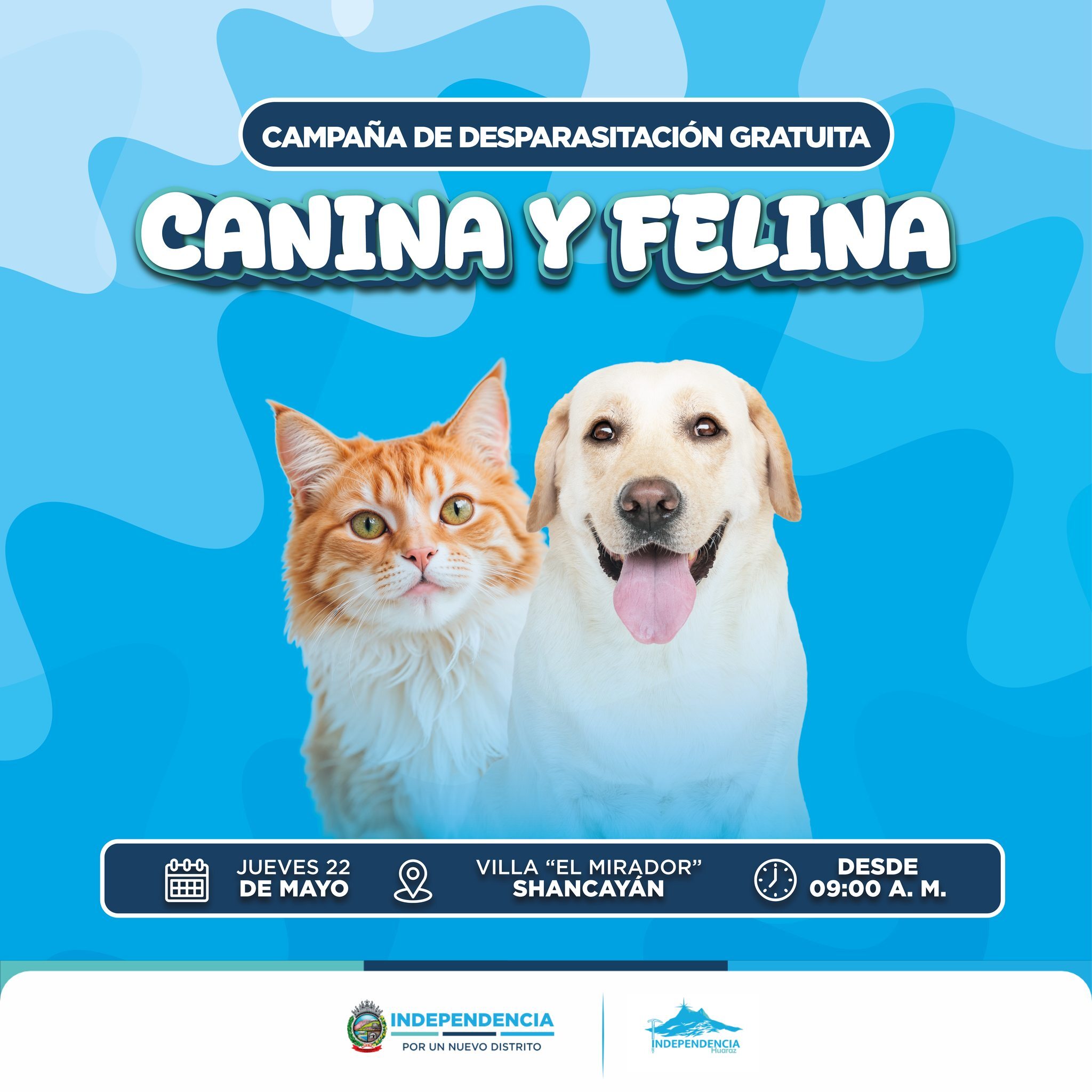 Campaña