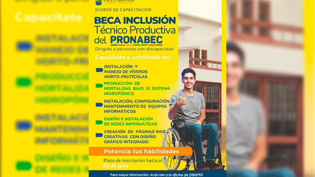 campaña.jpg