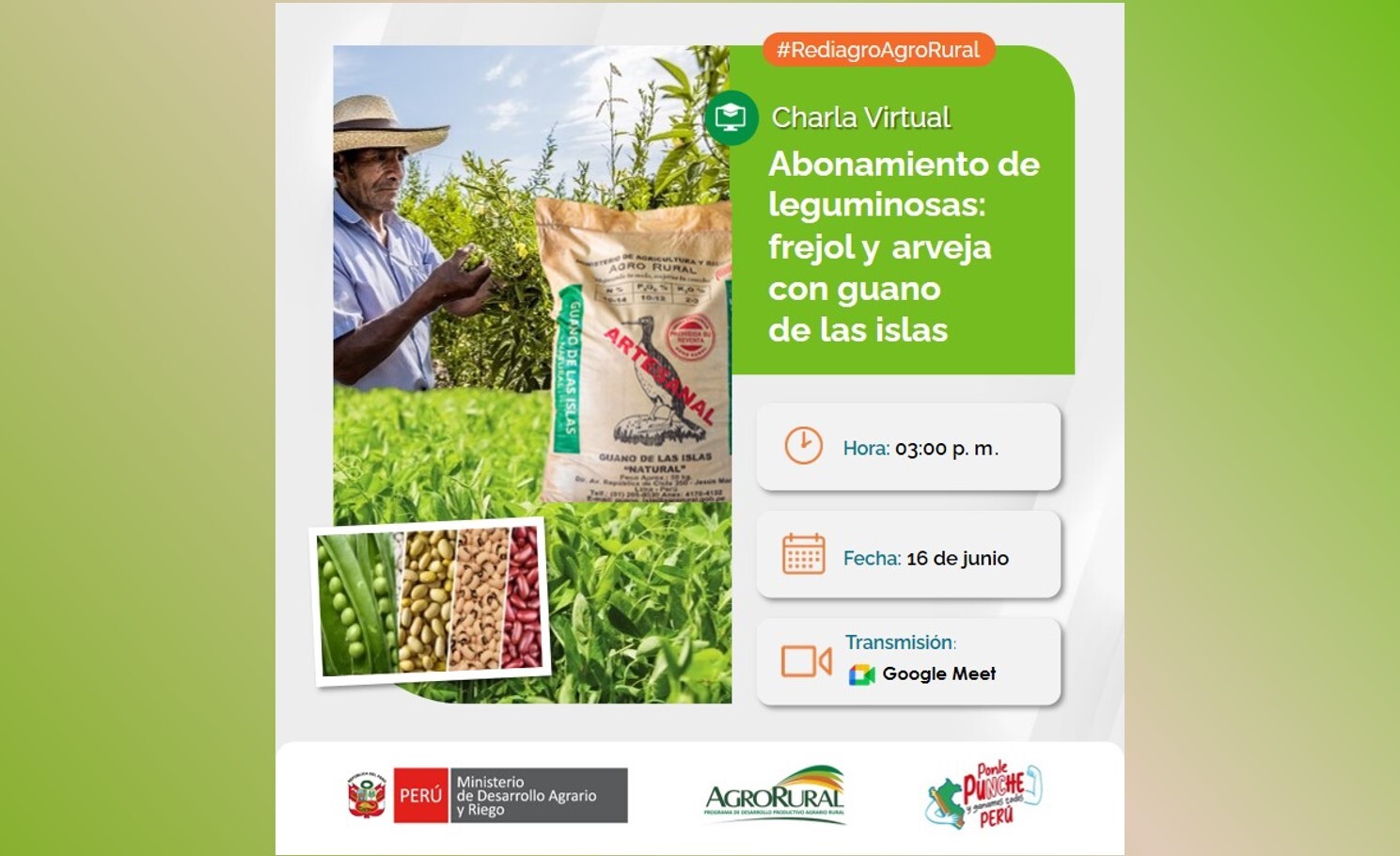 Abonamiento con guano de las islas en el cultivo de leguminosas frejol y arverja