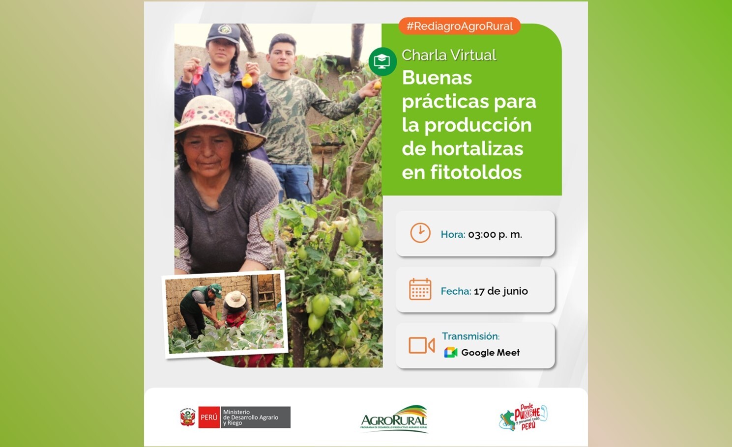 Aprendiendo las buenas prácticas para la producción de hortalizas en fitotoldos Caserío de Paccha - La Libertad