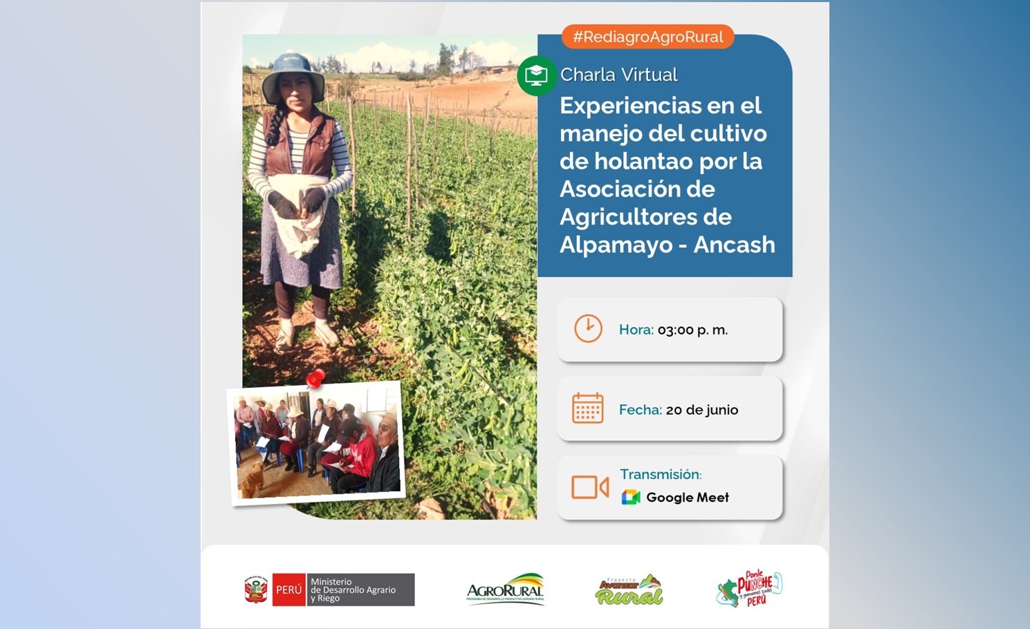 Experiencias en el manejo del cultivo de holantao por la Asoc Alpamayo - Ancash