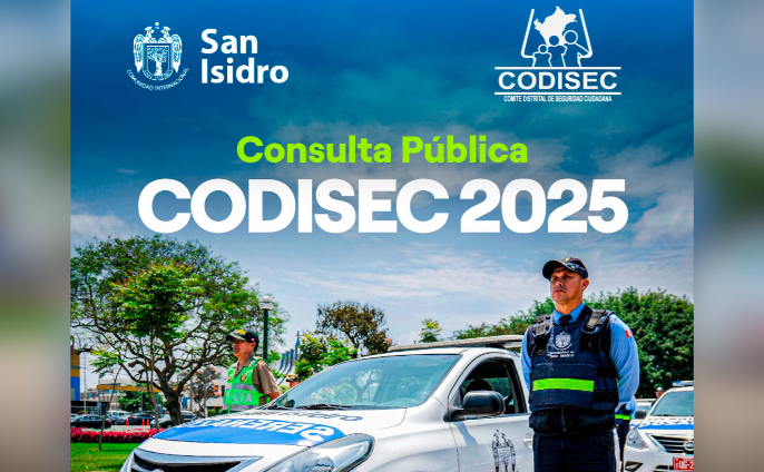consulta pública del Comité Distrital de Seguridad Ciudadana – CODISEC 2025