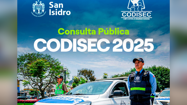 consulta pública del Comité Distrital de Seguridad Ciudadana – CODISEC 2025