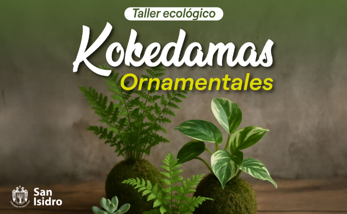 Kokedamas Ornamentales