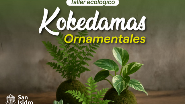 Kokedamas Ornamentales