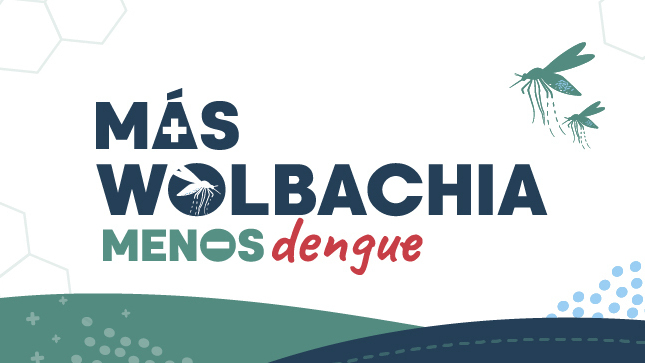 Plan de implementación y evaluación de la estrategia Wolbachia