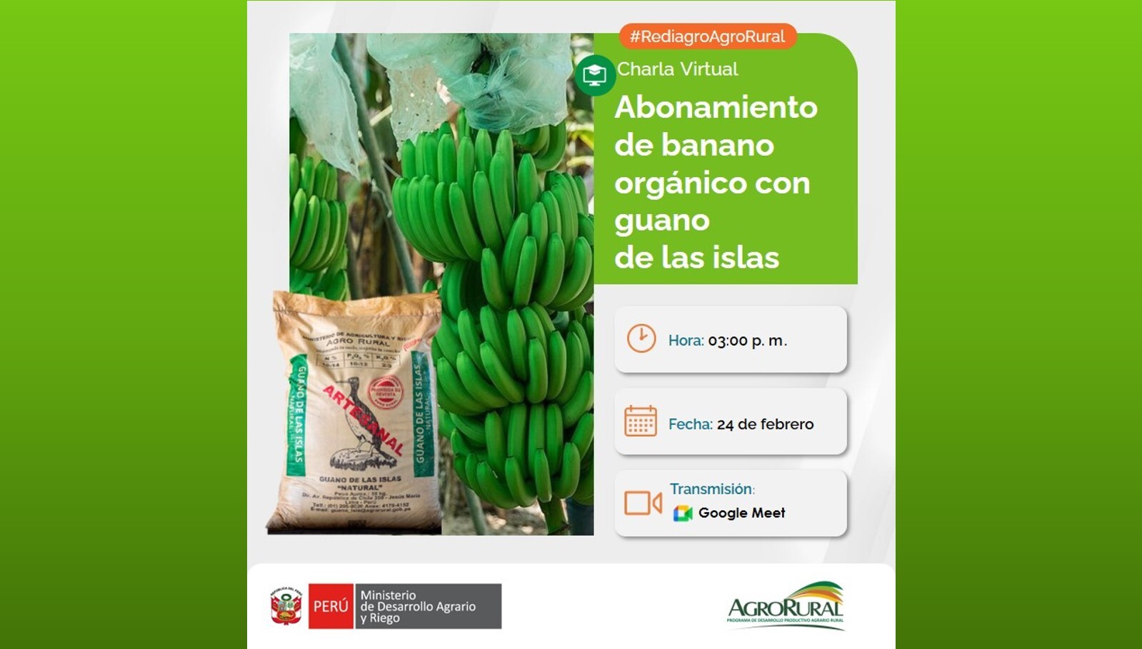 Abonamiento con guano de las islas en banano organico
