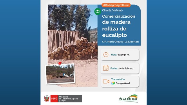 Comercialización de madera rolliza de eucalipto en Otuzco La Libertad