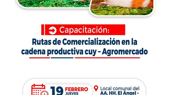 🐹 ¡Fortalece tu negocio de crianza de cuyes en Huaral!