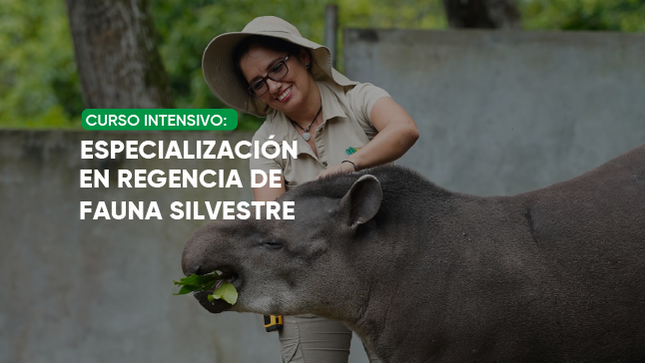 Curso de Especialización en Regencia de Fauna Silvestre – Iquitos 2026