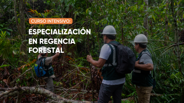 Convocatoria a Curso de Especialización en Regencia Forestal