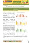 Vista preliminar de documento Boletín de Abastecimiento y Precios Mayoristas GMML y MM Nº2 -13/07/20