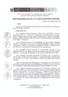 Vista preliminar de documento RD 022-2019-DE-UE005-PENL-VMPCICMC