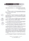 Vista preliminar de documento RD 024-2019-DE-UE005-PENL-VMPCICMC