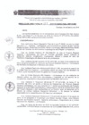 Vista preliminar de documento RD 031-2019-DE-UE005-PENL-VMPCICMC