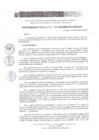 Vista preliminar de documento RD 043-2019-DE-UE005-PENL-VMPCICMC