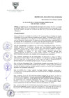 Vista preliminar de documento DA-N-001-2019-MDSA