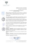 Vista preliminar de documento DA-N-004-2019-MDSA