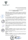 Vista preliminar de documento DA-N-005-2019-MDSA