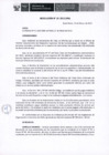 Vista preliminar de documento Res10-2013