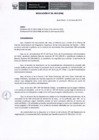 Vista preliminar de documento Res20-2013