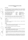 Vista preliminar de documento ACTA-DE-SESION-ORDINARIA-N-06-2020