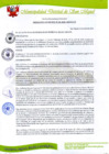 Vista preliminar de documento 1 ORDENANZA MUNICIPAL N 011-2020-MDSMCM