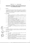 Vista preliminar de documento 2009