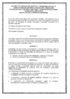 Vista preliminar de documento 2007