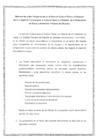 Vista preliminar de documento 2007