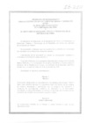 Vista preliminar de documento 2010