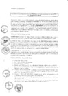 Vista preliminar de documento 2011