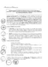 Vista preliminar de documento 2011