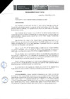 Vista preliminar de documento RESOLUCION 49-2017