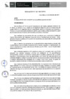 Vista preliminar de documento RESOLUCION 133-2017
