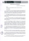 Vista preliminar de documento RES 117