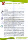 Vista preliminar de documento 3 DECRETO DE ALCALDIA N 002-2020-MDSM-A