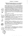 Vista preliminar de documento 2012