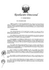 Vista preliminar de documento RD 034-2020-PCM-OGA
