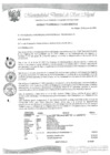 Vista preliminar de documento 29 ACUERDO DE CONCEJO N 033-2019-MDSM-CM