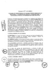 Vista preliminar de documento 2013