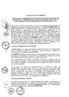 Vista preliminar de documento 2013