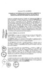 Vista preliminar de documento 2013