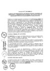 Vista preliminar de documento 2013