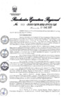Vista preliminar de documento 1473211_RER-22-2020