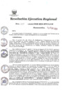 Vista preliminar de documento 1480715_RER-37-2020