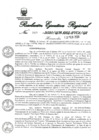 Vista preliminar de documento 3288632_RER-49-2020